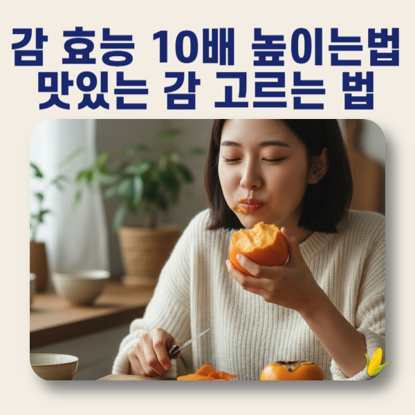 제목을 입력해주세요 001 23